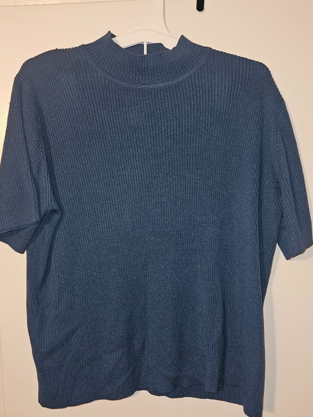 Blue mock neck short sleeve